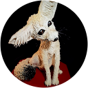 Kaufmann Gallery profile picture